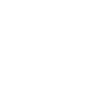 Lion Lion Head