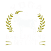 Goat Yoga Balancing My Life