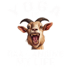 Goat Yoga Balancing My Life