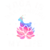 Goat Yoga Balancing My Life