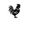 I like chickens