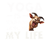 Goat Yoga Balancing My Life