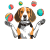 BEAGLE JOGLES