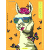 COOLLLAMAorange 01