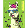 COOLLLAMAgreen 01
