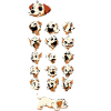 Doggy & Dog
