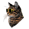Bombay Cat Sonnenbrille Geschenk