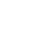 Le Transylvanien de Roumanie