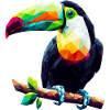 Toucan polygonal