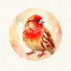 oiseau rouge