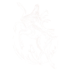 hirsch