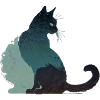 chat noir
