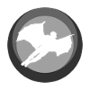 Wingsuit Flying Suit Glider