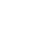 Lion Lion Head