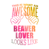 Beaver