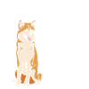 Chillin with my Akita