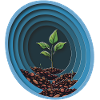 Plant journey