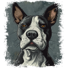 Bullterrier