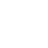 Palm Party Team