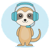 Meerkat with headset