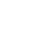 Celtic raven