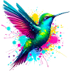 Colibri