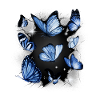 Papillons Papillon Insecte Insectes