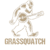 Bluegrass Banjo