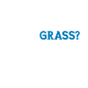 Bluegrass Banjo