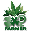 3XO Farmer Cannabis Cultivation
