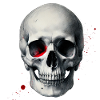 skull