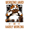Hart arbeiten oder kaum arbeiten?