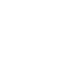 Broken leg