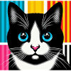 Chat