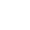 Crocodile Alligator
