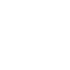 Pug Dog