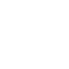 Krokodil Alligator