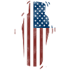 Barman Mixologue American Flag