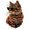 Ragdoll-Katzen-Sonnenbrille Geschenk