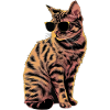 Sonnenbrille für Scottish Fold-Katzen Geschenk