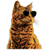 Sonnenbrille mit Somali-Katze Geschenk
