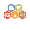 Board game