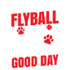 Flyball Canine Sport Agility Parcour Dog