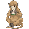 Monkey Sandwich