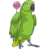 Parrot Lollipop