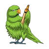 Parrot Student Crayon School