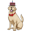 Labrador Birthday Cake