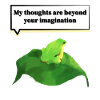 Thinking Frog