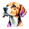Beagle Aquarelles