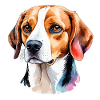 Beagle Aquarelles